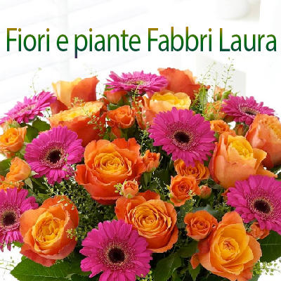 Fiori e piante - Visual