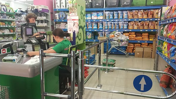 Белый Кролик Магазин Владивосток Сайт