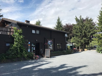 Photos of Camping Tonny