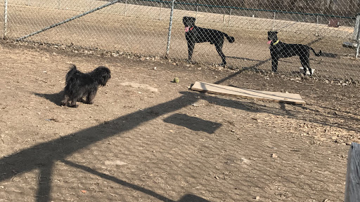 Saint Peter Dog Park Gallery - United States