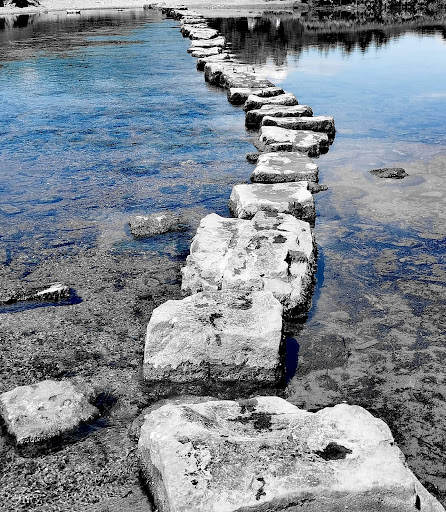 The Stepping Stones - Thumbnail