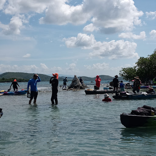 Isla Magueyes Marine Laboratories