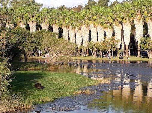 BOSQUE DE LOS CONSTITUYENTES, Author: Lisandro Pignani