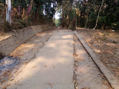 Photos of Rang-U Ramkut Buddhist Temple