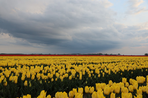 Het Oldambt Gallery - Netherlands