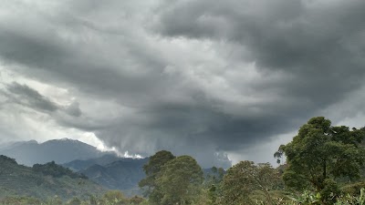 Photos of Finca el descanso