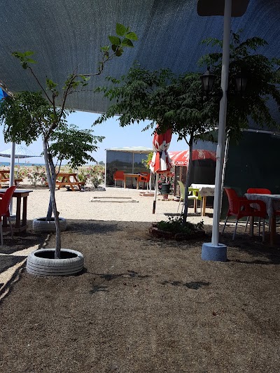 Photos of 06 PLAJ CAFE