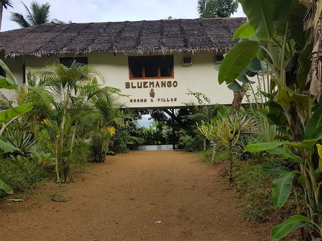 Blue Mango Resort