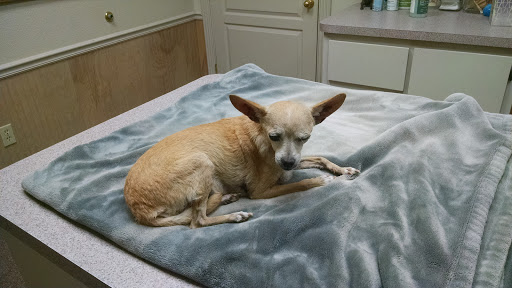 West Texas Emergency Veterinary Clinic