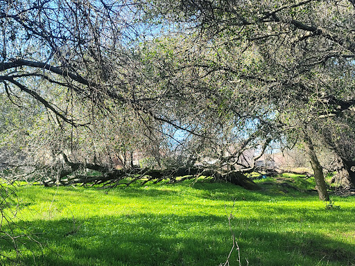Veterans Memorial Park- North - Thumbnail