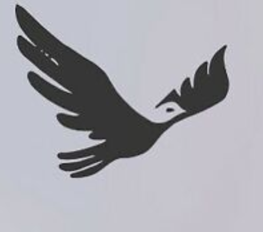 Birdsify - Visual