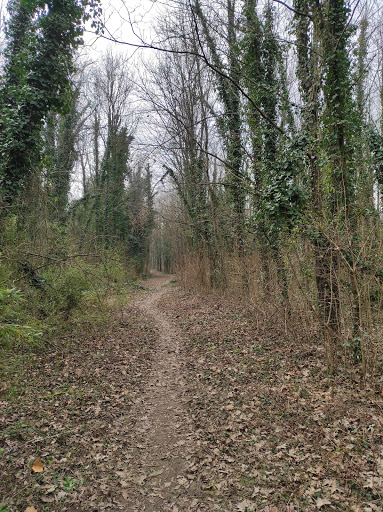 Parco dello Storga - ingresso ovest - Thumbnail