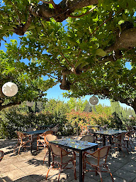 Photo n°1 de LES CALADES à Générac (Bar à vin)