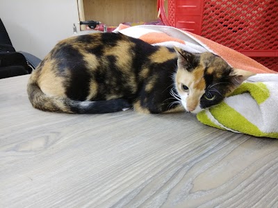 Photos of PAW Life Care