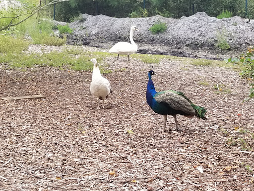 Possumwood Acres Wildlife Sanctuary - Thumbnail