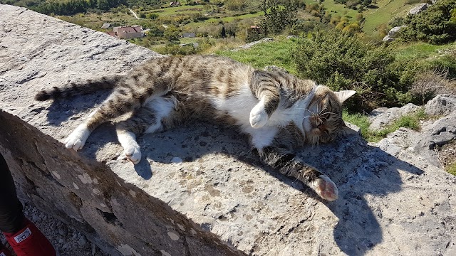 Klis