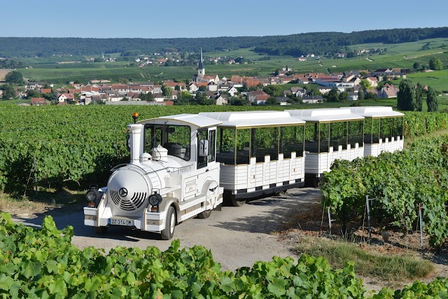 LE PETIT TRAIN DES VIGNOBLES DE CHAMPAGNE
