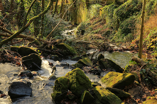Lumsdale Waterfall - Thumbnail