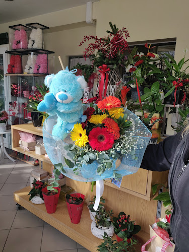 Comentarii opinii despre Ανθοπωλείο - ''Δια χειρός Κυρκιλή''