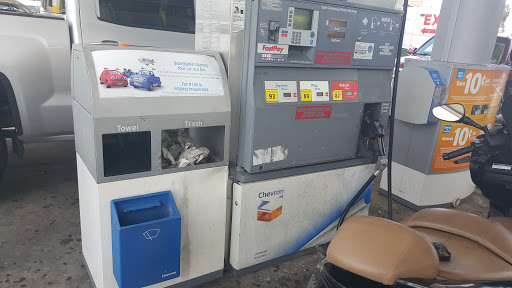 Chevron Laredo - Visual