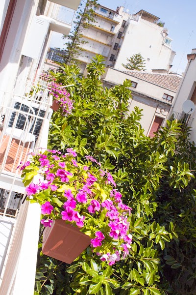 Photos of B&B Miro