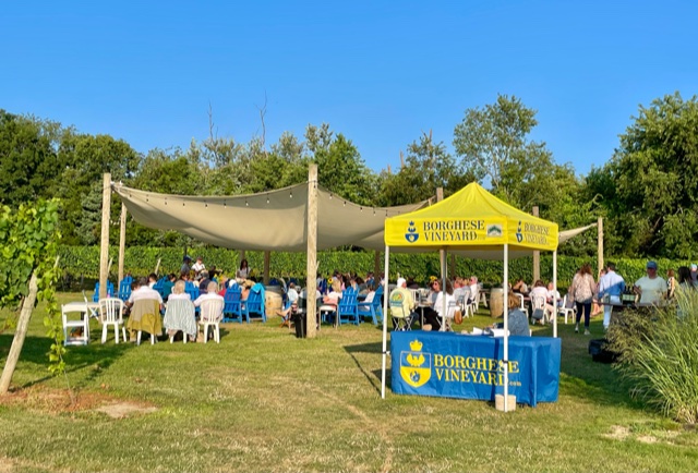 Borghese Vineyard by null