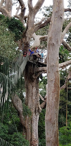 Monte Amazonico Lodge 2