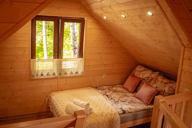 Ośrodek Wypoczynkowy Mamczur Pizuny - Hrubieszów