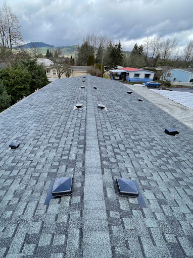 Blou Roofing & Construction LLC - United States
