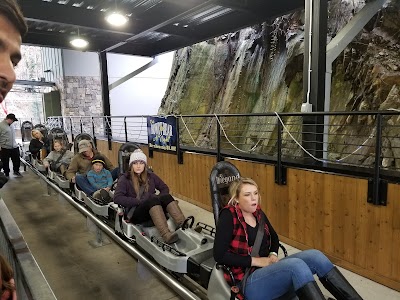 Rowdy Bear Mountain Coaster