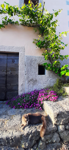 Borgo Tepolini - Thumbnail