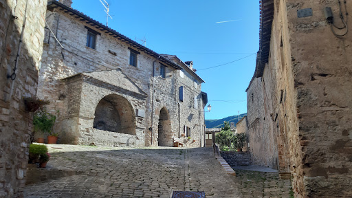Pievefavera