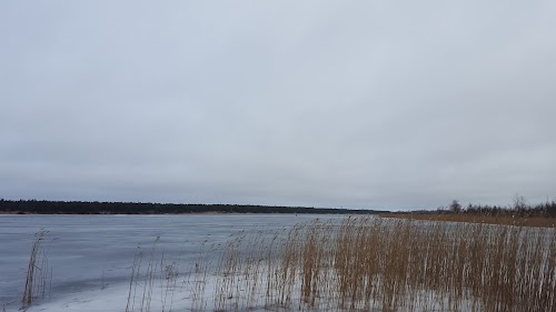 Männiku järv