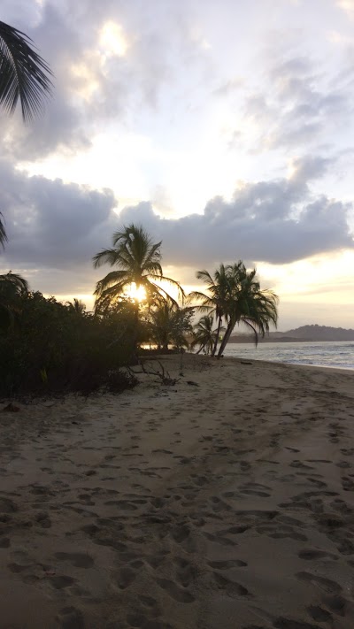 Photos of Olguita's Place