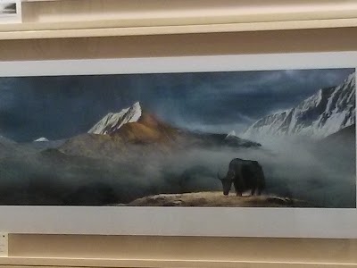 Photos of Shanghai Arts and Crafts Museum