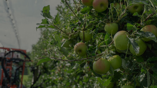 Fruit Help - Visual