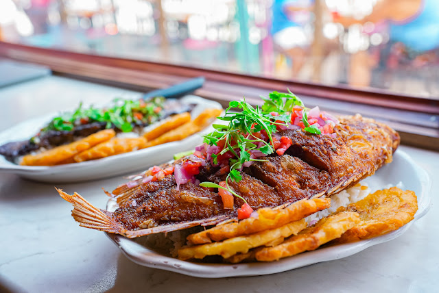 La Ventana Miami Beach