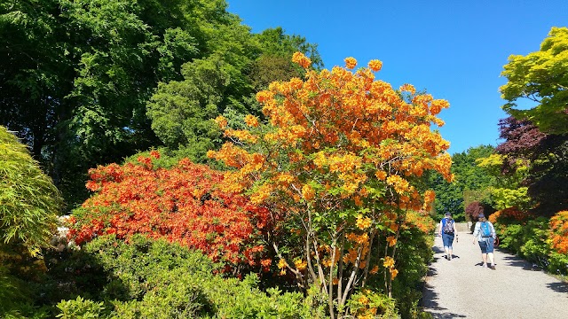 National Trust - Castle Drogo