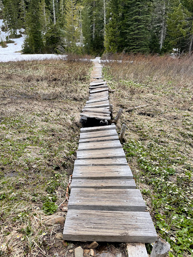 Deer Lake - Visual