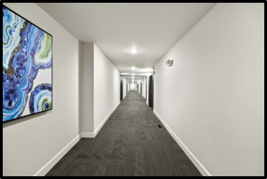 IOC Construction - Visual