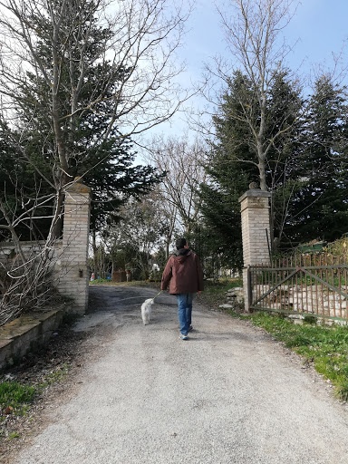 Chiesa di Sant'Aldebrando - Thumbnail