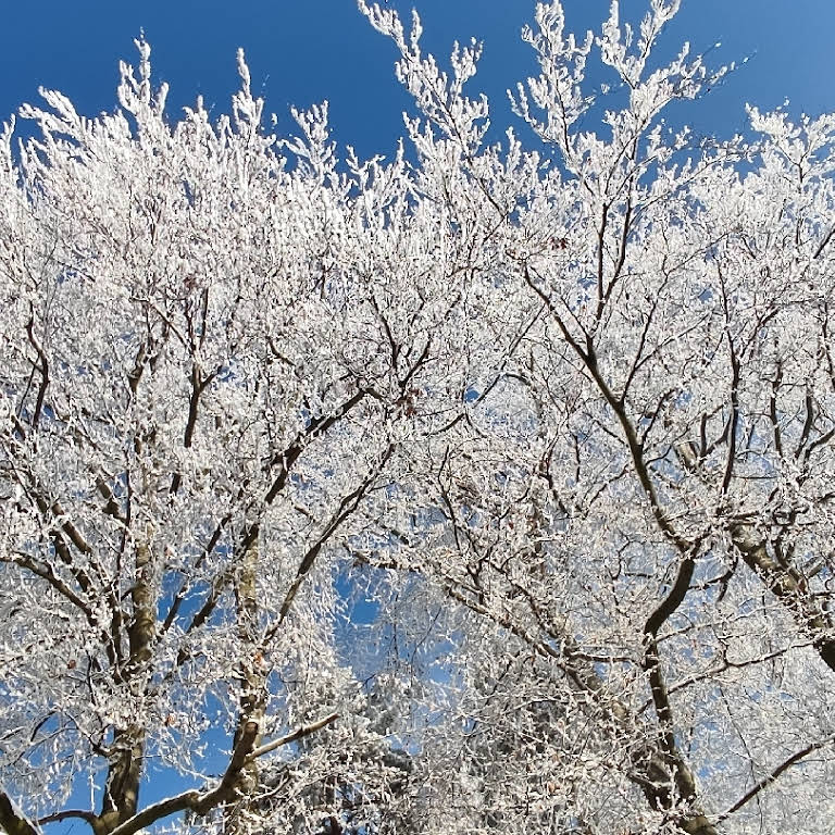 źródło https://folwarkpodbukowcem.com/