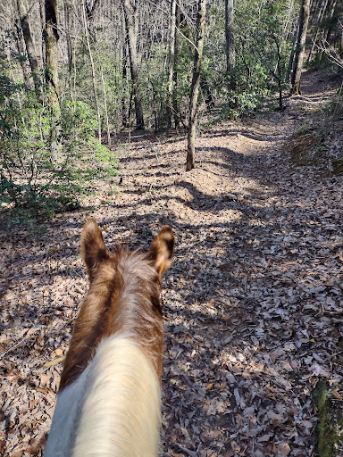 Whetstone Horse Campground Gallery - United States