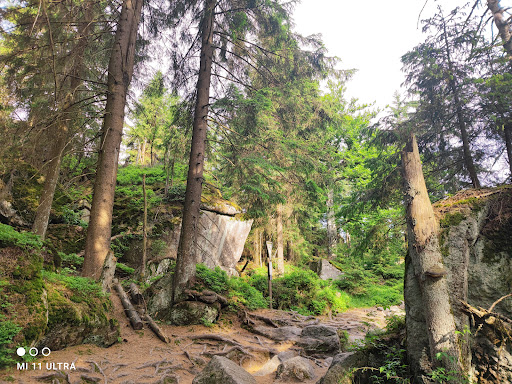 Nußhardt - Visual