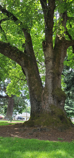 Fruit Valley Park - Thumbnail