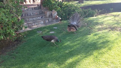 Photos of Monteiro Self-Catering & Camping