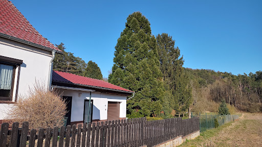 Parkplatz Steigerthal - Visual