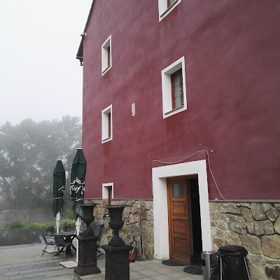Photos of Hotel Ve Mlejně
