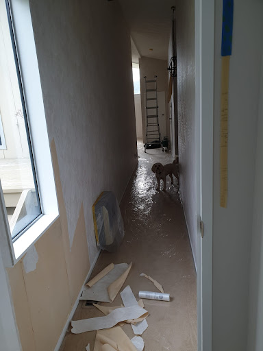Wellington Painting & Plastering - Thumbnail