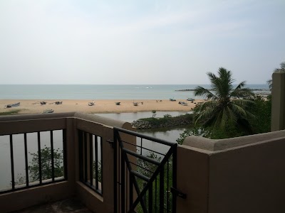 Photos of Kalametiya Birds Sanctuary